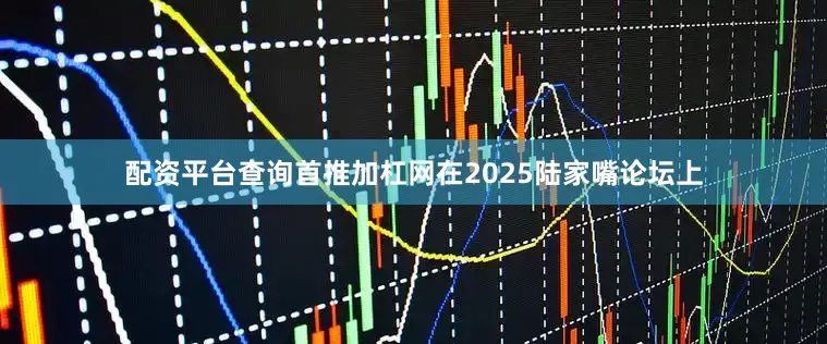 配资平台查询首推加杠网在2025陆家嘴论坛上