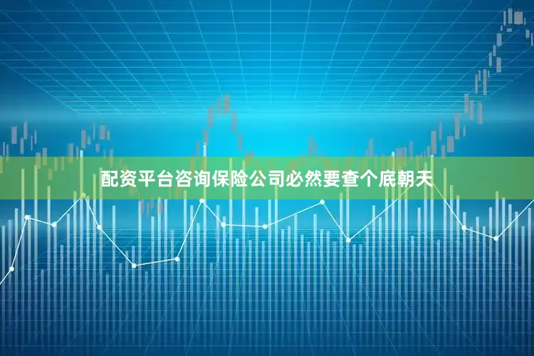 配资平台咨询保险公司必然要查个底朝天