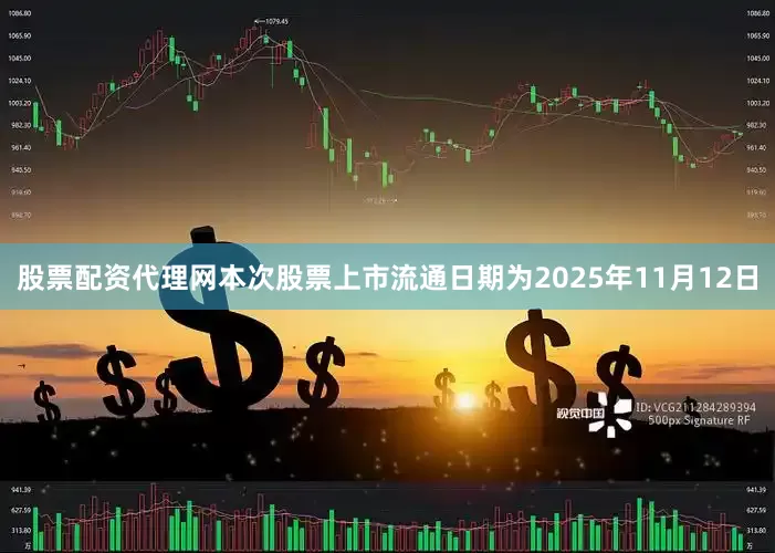 股票配资代理网本次股票上市流通日期为2025年11月12日